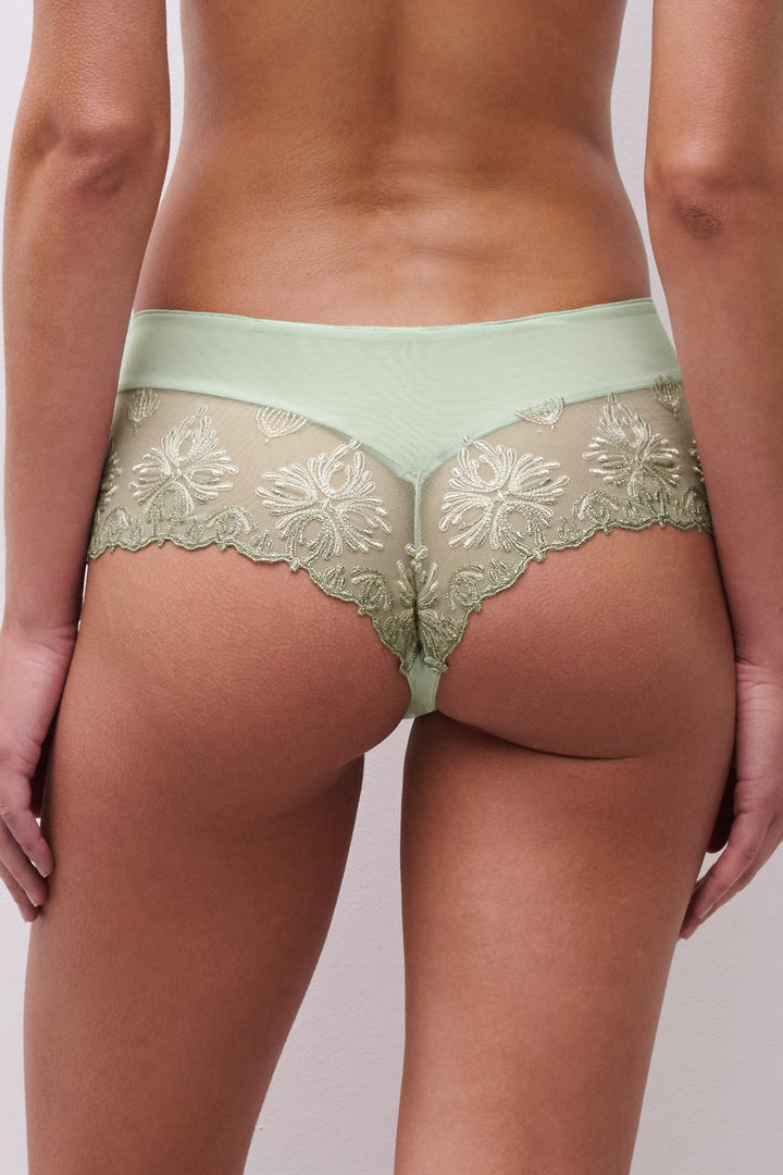 Green lace underwear on a plain background