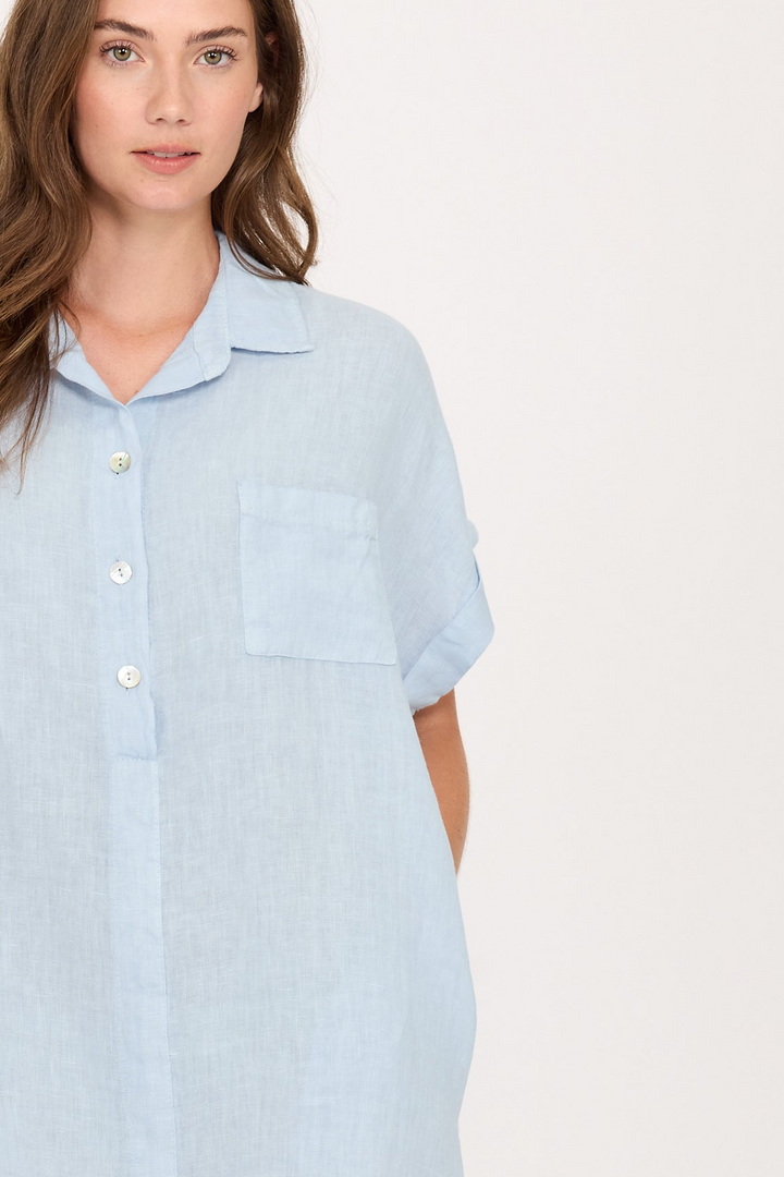 Light blue linen dress with buttons and pocket detail.