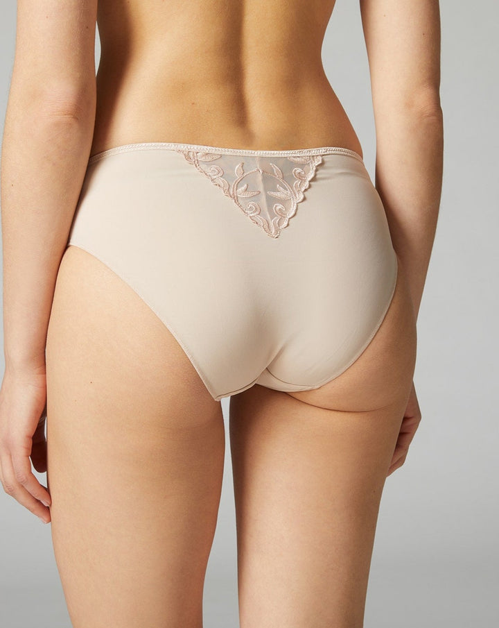 Andora Retro Briefs - Beestung Lingerie